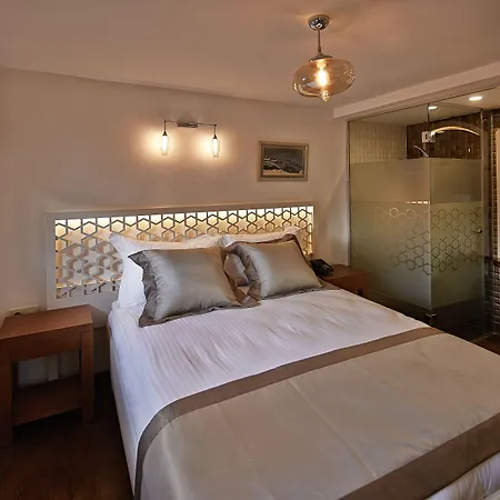 Hotel Arart 3*