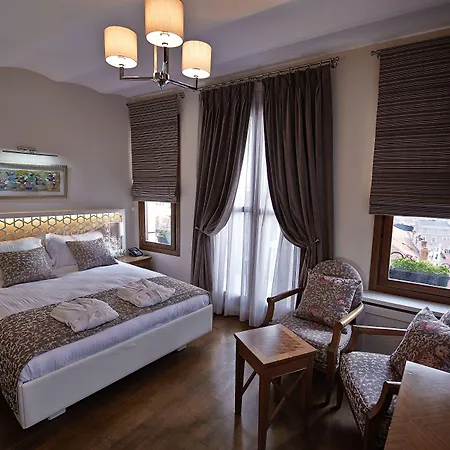 Hotel Arart 3*