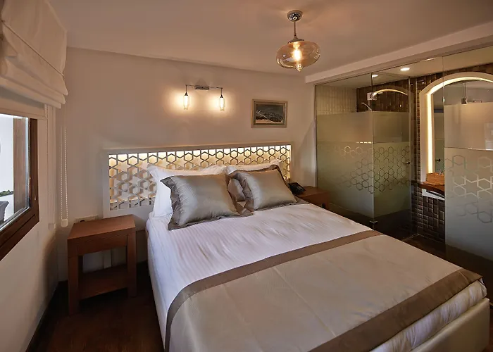 Hotel Arart 3*
